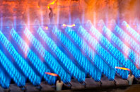 Wallbridge Park gas fired boilers